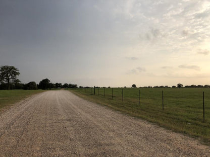 Gravel Sunset Single Origin Small Lot Coffee