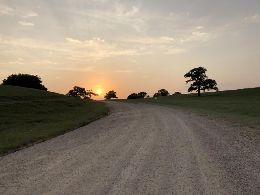 Gravel Sunset Single Origin Small Lot Coffee