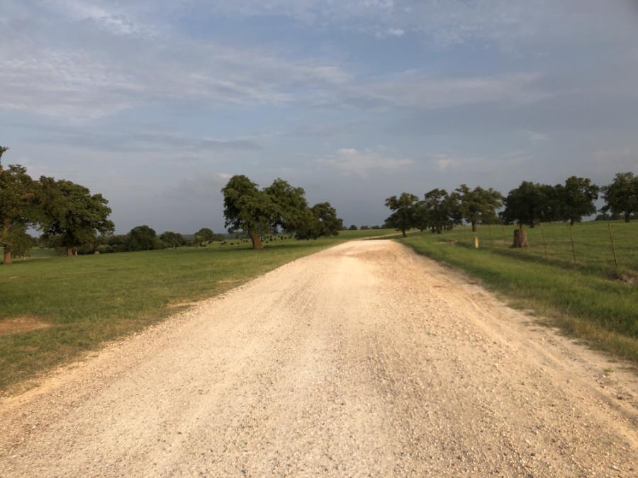 Gravel Sunset Single Origin Small Lot Coffee