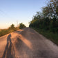 Summer Miles Single Origin Small Lot Coffee Small