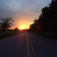 Summer Miles Single Origin Small Lot Coffee Small
