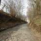 Grimpeur_Bros_Koppenberg