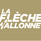 Grimpeur_Bros_La_Fleche_Wallonne_logo