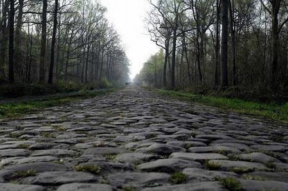 Grimpeur_Bros_Arenberg_Forest