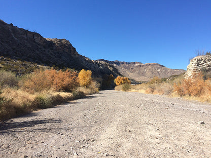 Big-Bend_Trails_Single_Origin_Coffee_State_park_canyon
