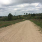 Grimpeur_Bros_Gravel_Grinder_Single_Origin_Coffee_Farm_Road_Texas. Gravel Grinder Single Origin Small Lot is a tasty coffee grown and harvested in Oaxaca, Mexico. This GrimpeurBros.com weekly-roasted coffee features cherry, citrus, and chocolate tasting notes with a sweet, smooth mouthfeel.. Whole beans are available in 8oz, 12oz, 1lb, and 2lb bags.