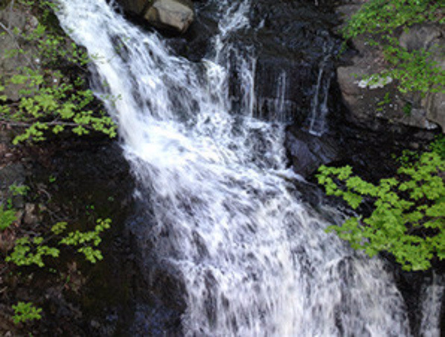 River_Road_SO_Small_Lot_2022_Waterfall. River Road Single Origin Small Lot Coffee is a tasty Guatemalan coffee grown and harvested near San Lucas, Toliman, Lake Atitlan, Guatemala. This GrimpeurBros.com weekly-roasted coffee delivers apricot, butterscotch, and jammy tasting notes with a pleasant mouthfeel. Whole beans are available in 8oz, 12oz, 1lb, and 2lb bags. 